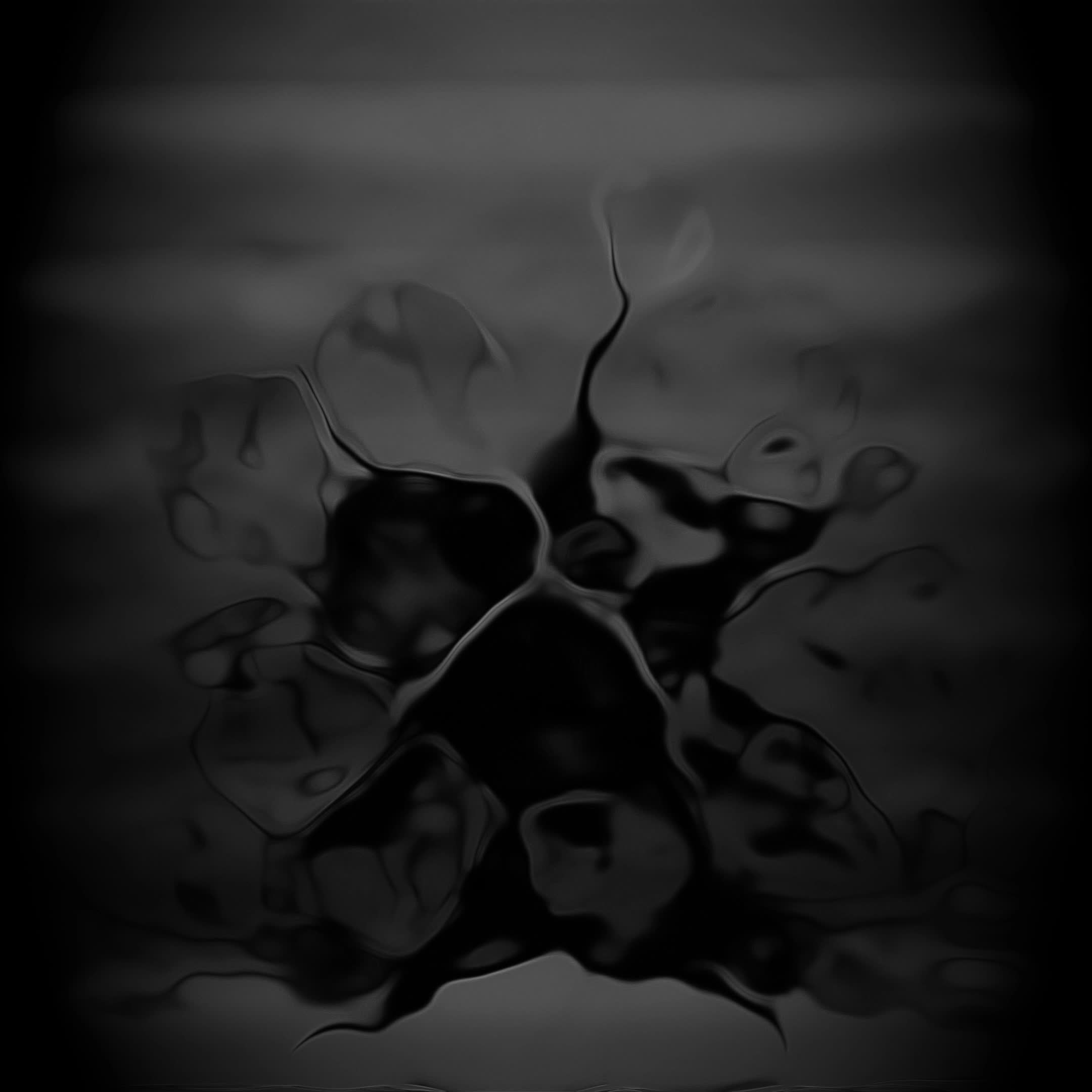 Fears #167/194