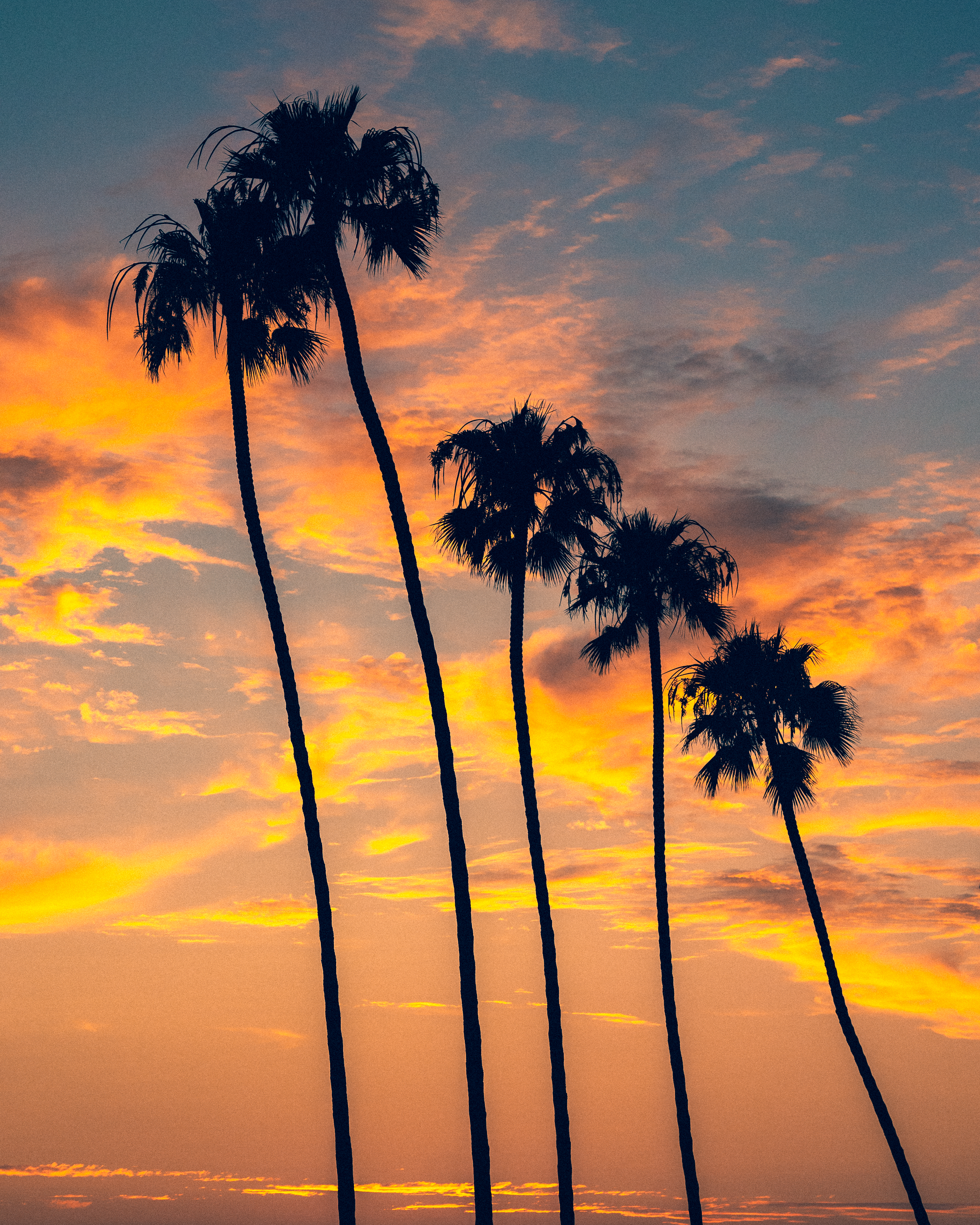 #45: Sunset Squad