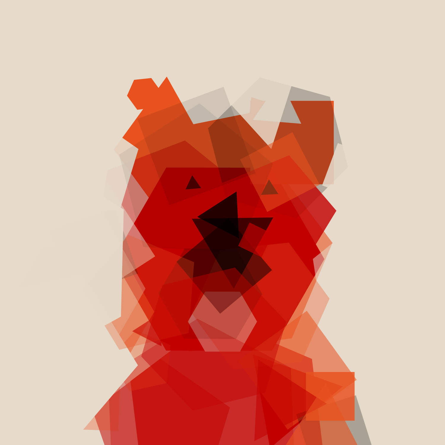 #1410 shiba disco