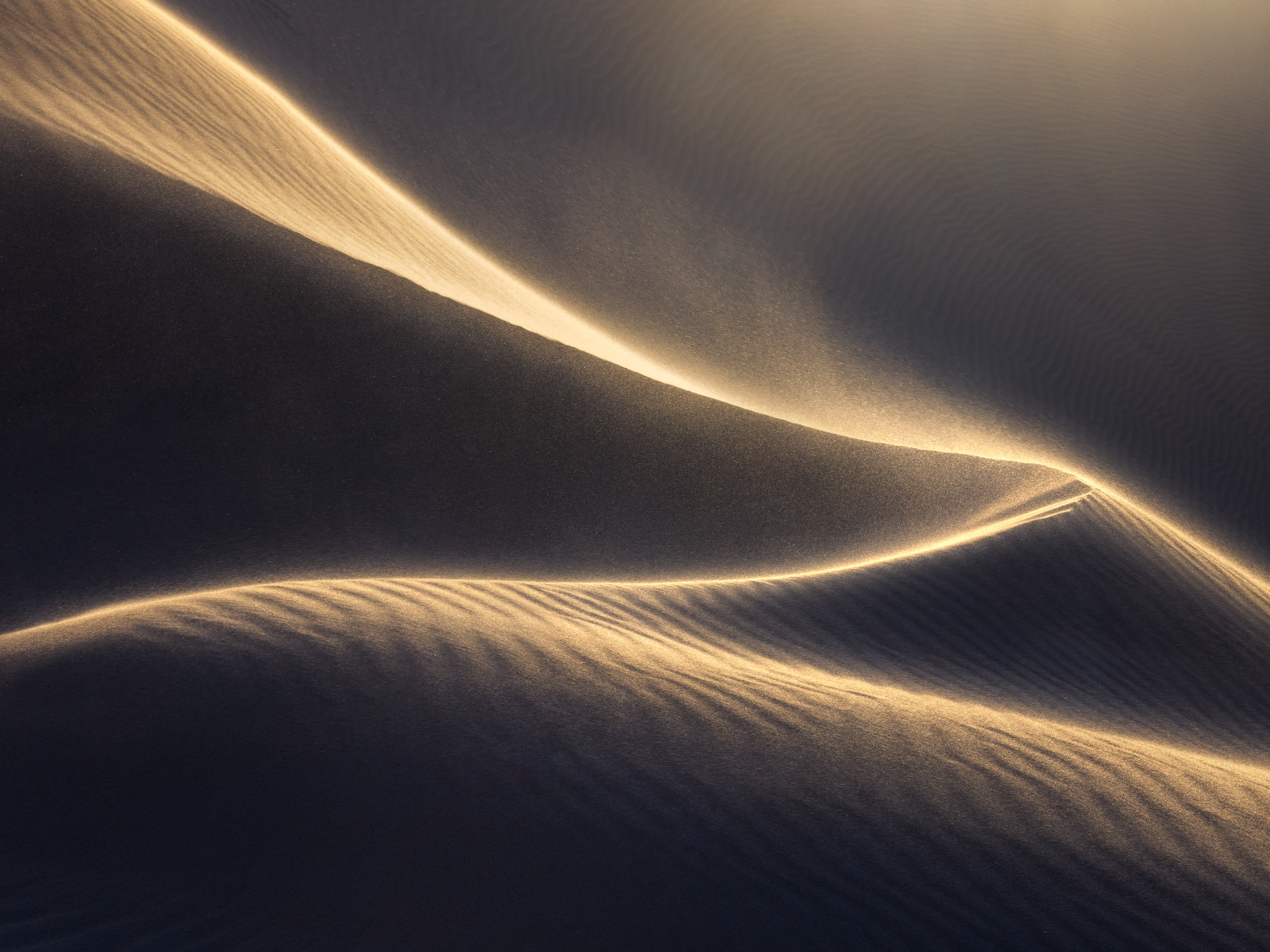 Gold Dust #7/19