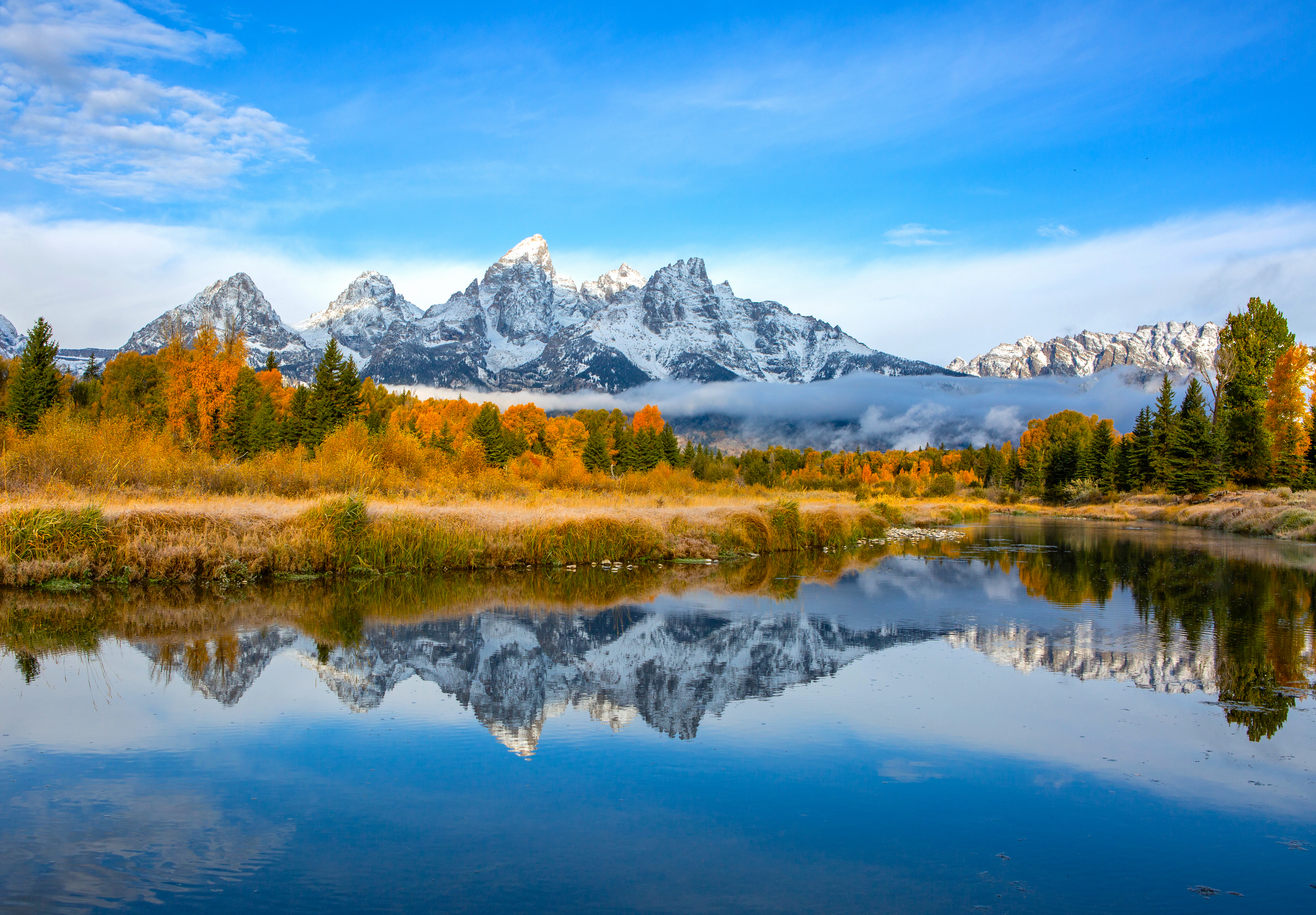 Reflection 