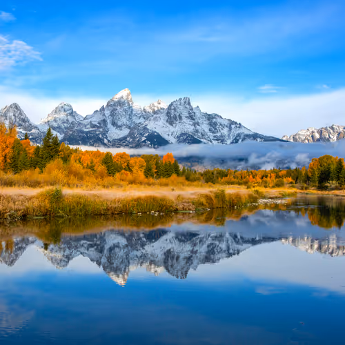 Reflection 