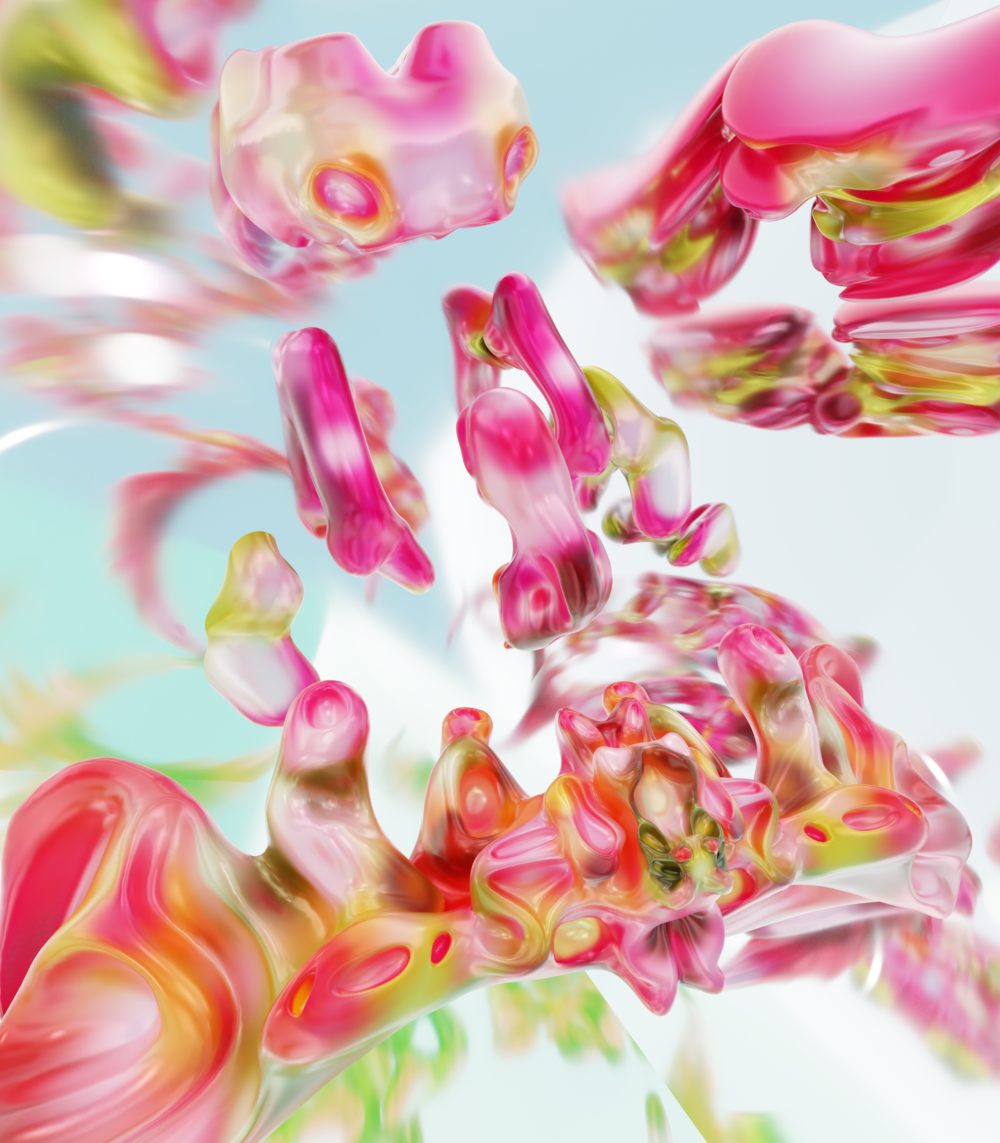 Orchidea
