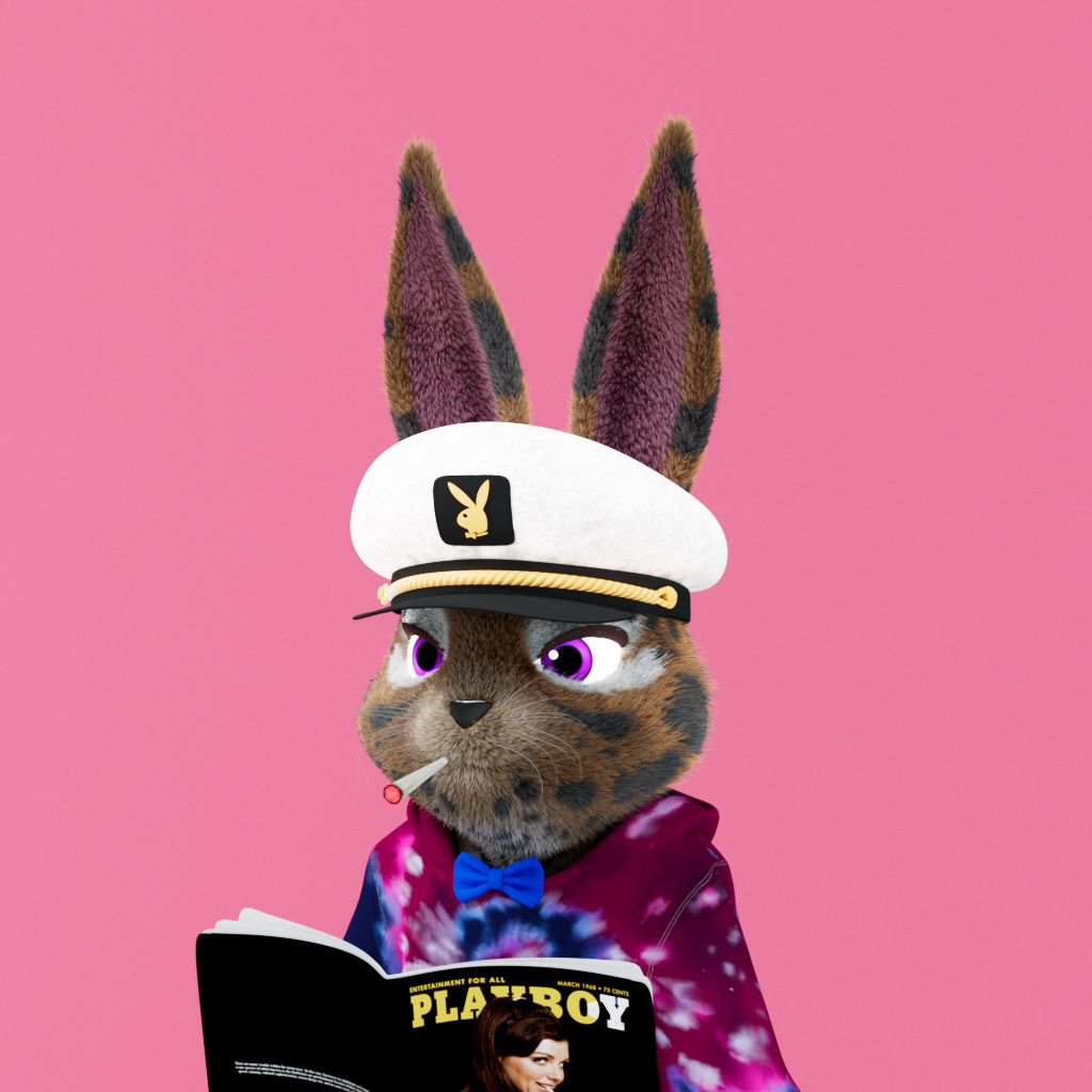 Rabbitar #1