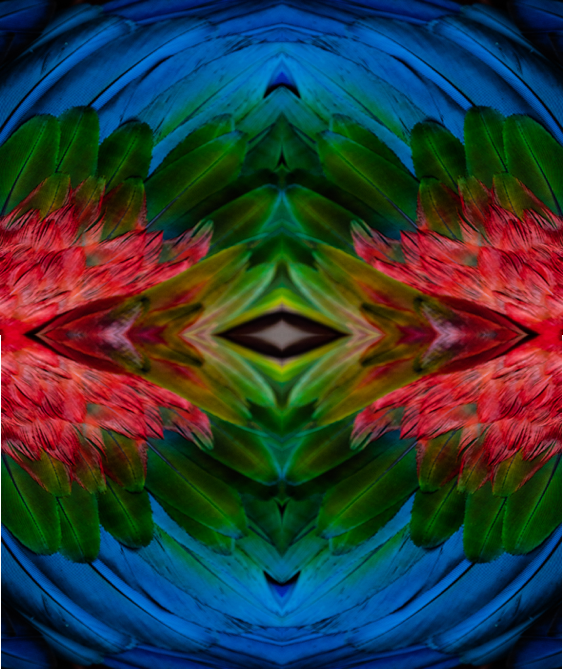 BB2