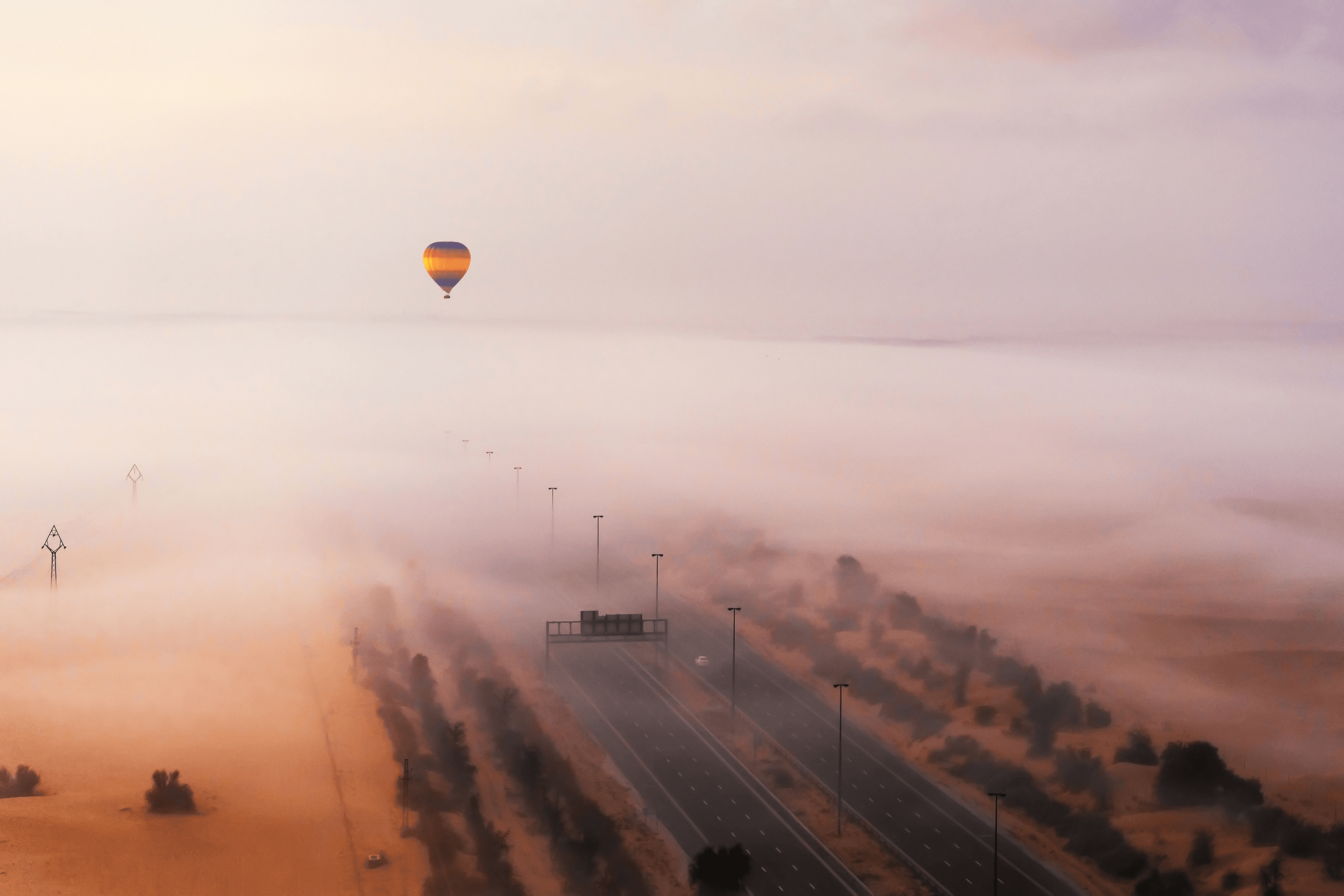 Foggy Morning
