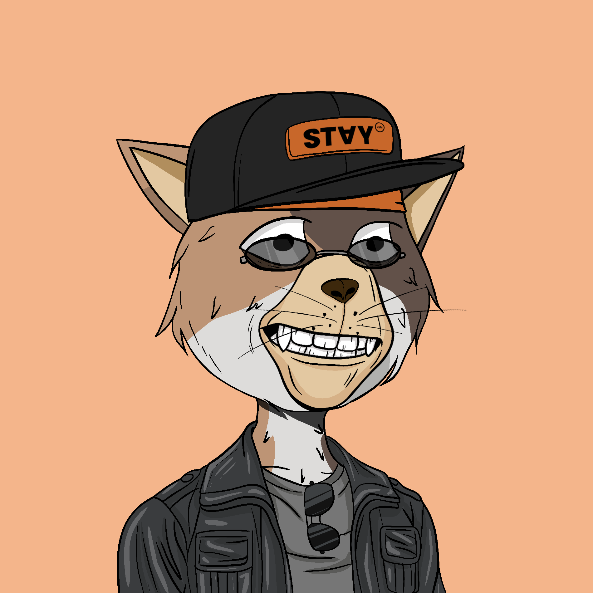 Stay Cats #4692