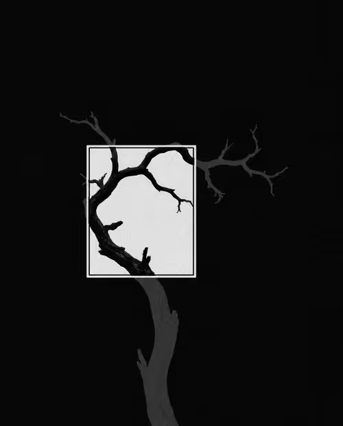 Crooked (Don't say i didn't warn you)