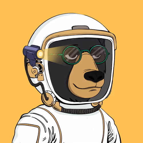 Okay Space Bear #5228