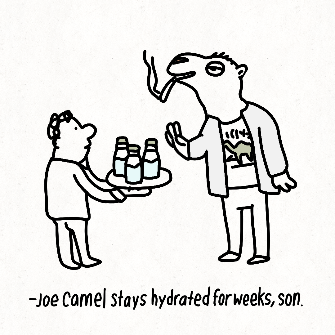 Stay Hydrated
