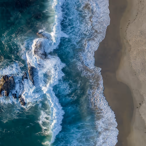 Roar of the Ocean