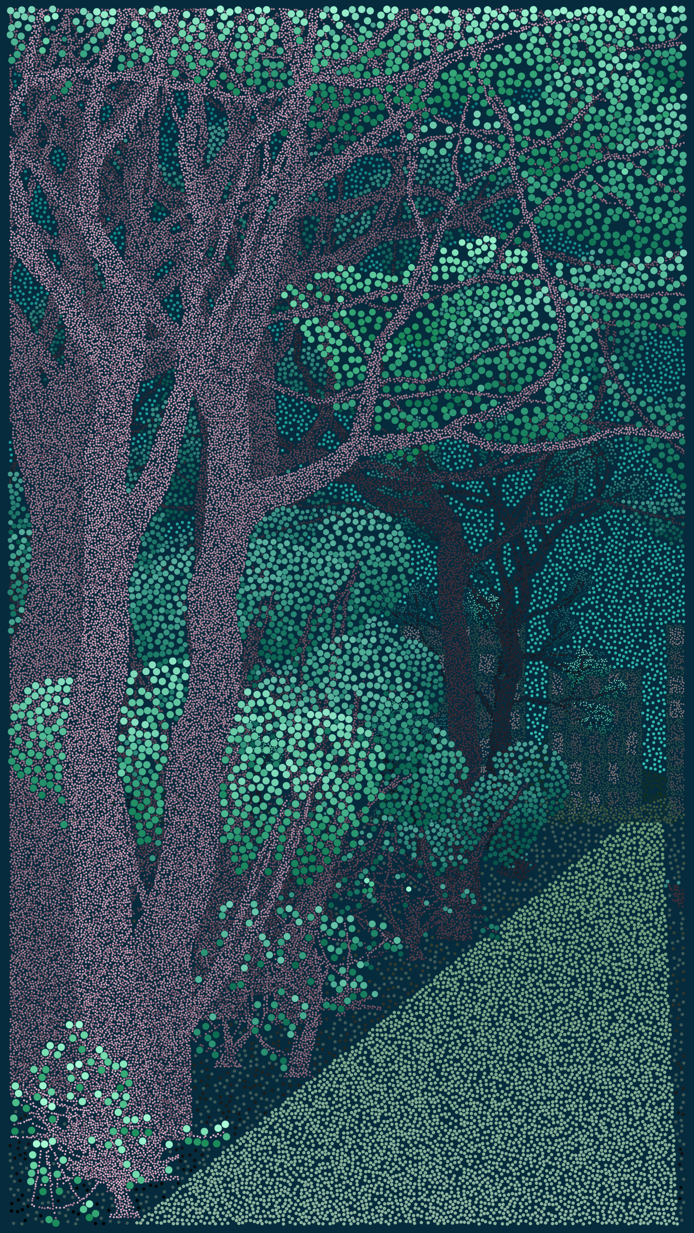 Bosque de Chapultepec #39