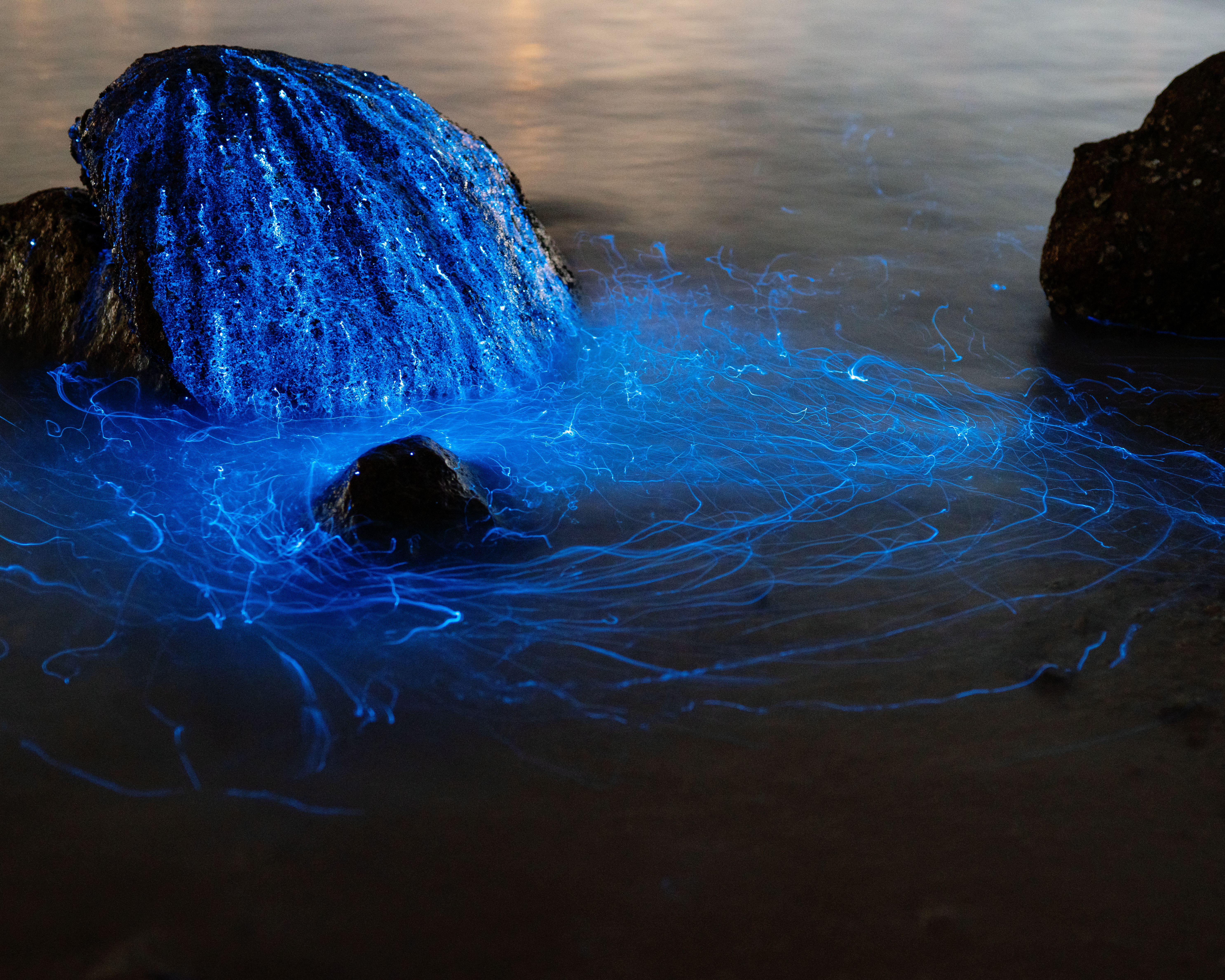 weeping stone