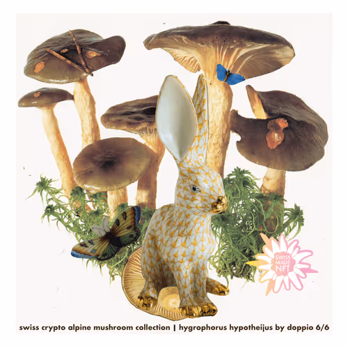swiss crypto alpine mushroom collection | hygrophorus hypotheijus by doppio 6/6