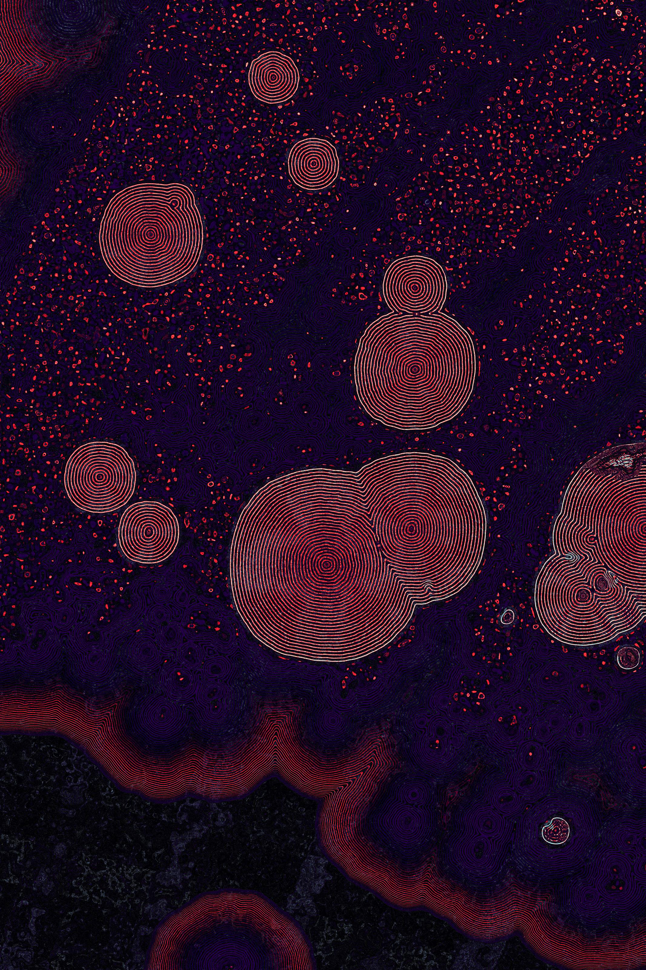 Dactylogram #82