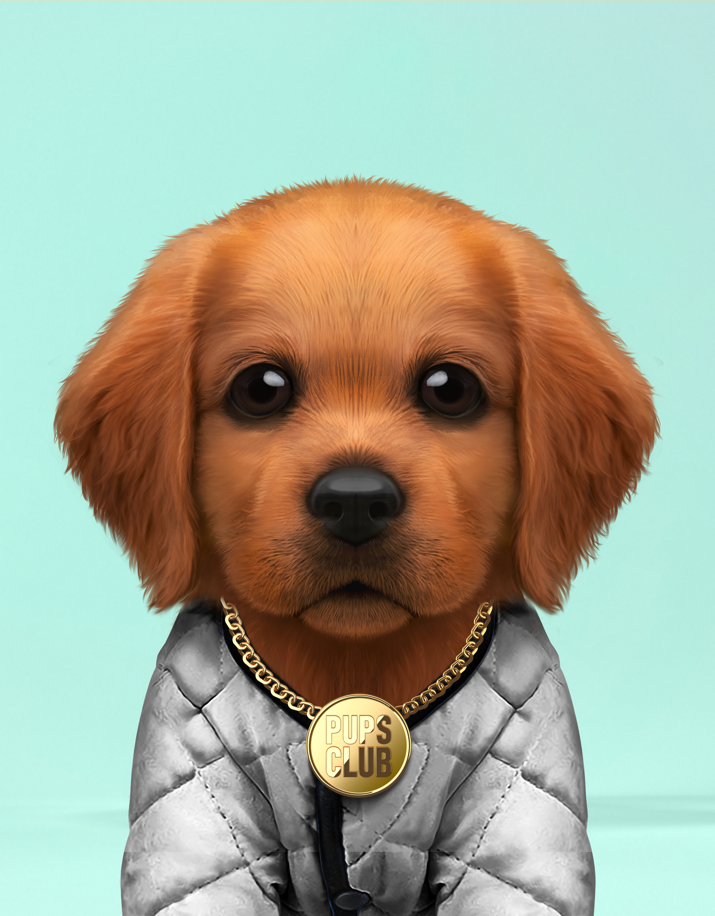 Pup #8659