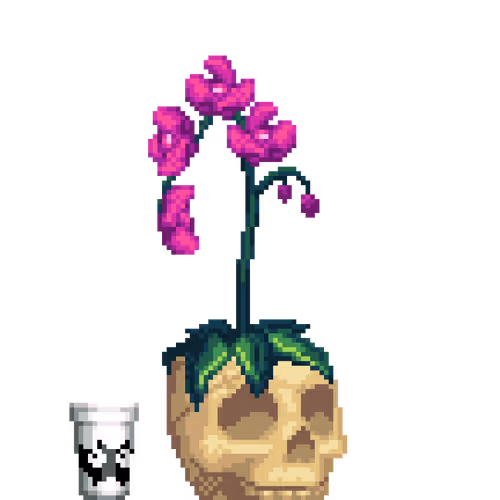 Purple Orchid in Bone Skull pot with Myk Styrofoam Cup