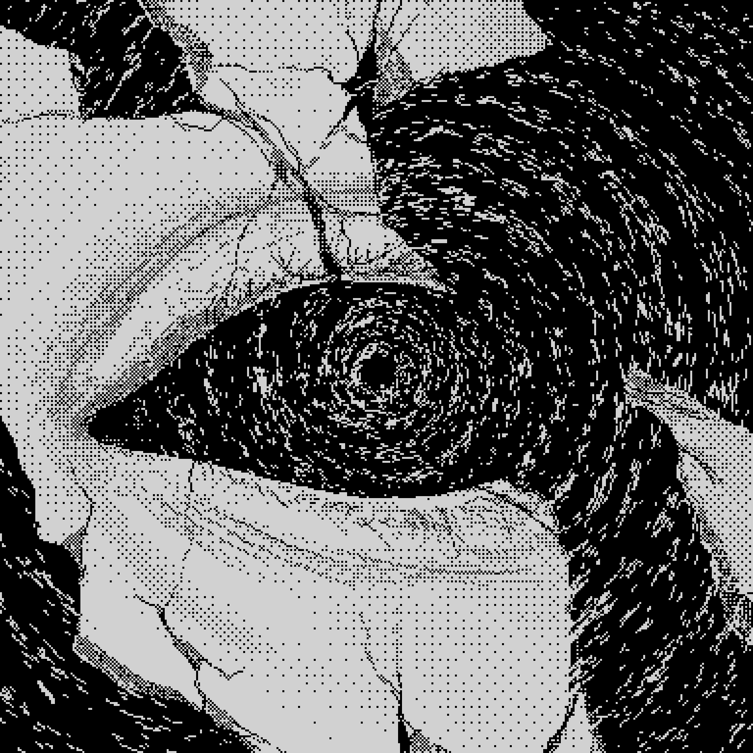 𝔚𝔥𝔞𝔱'𝔰 ℑ𝔫𝔰𝔦𝔡𝔢 𝔐𝔢