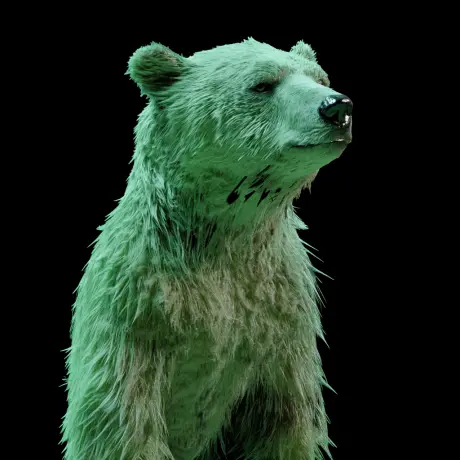 bear #4816