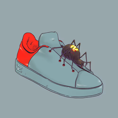 SHOEz #648