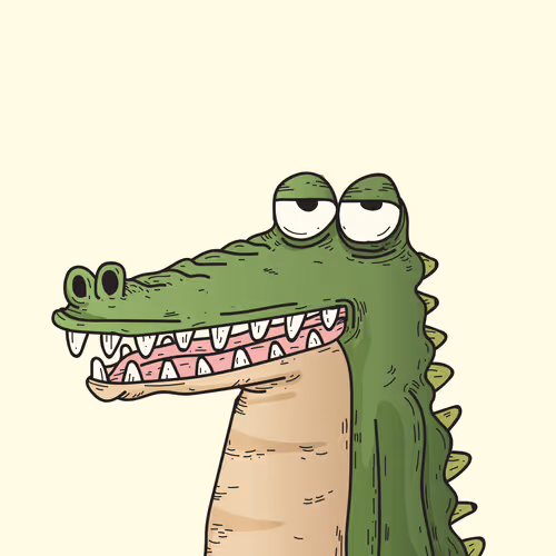 Coco Crocodile 001