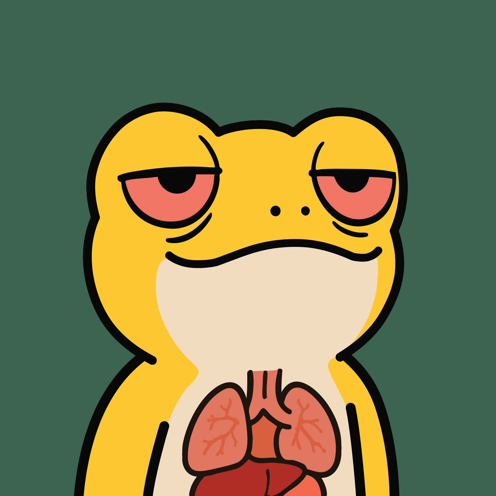 Turbo Toad #9631