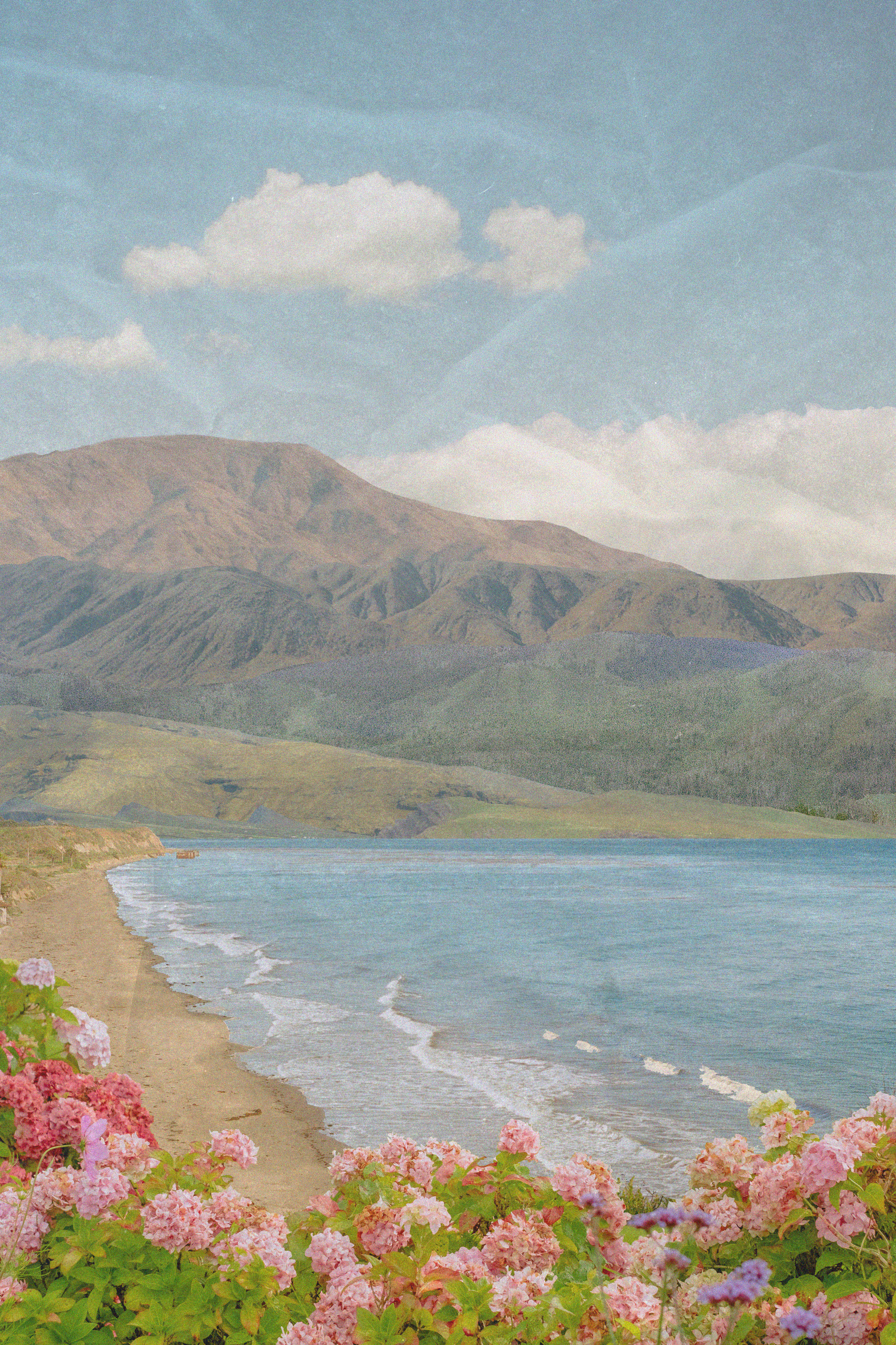 Coastal Bloom