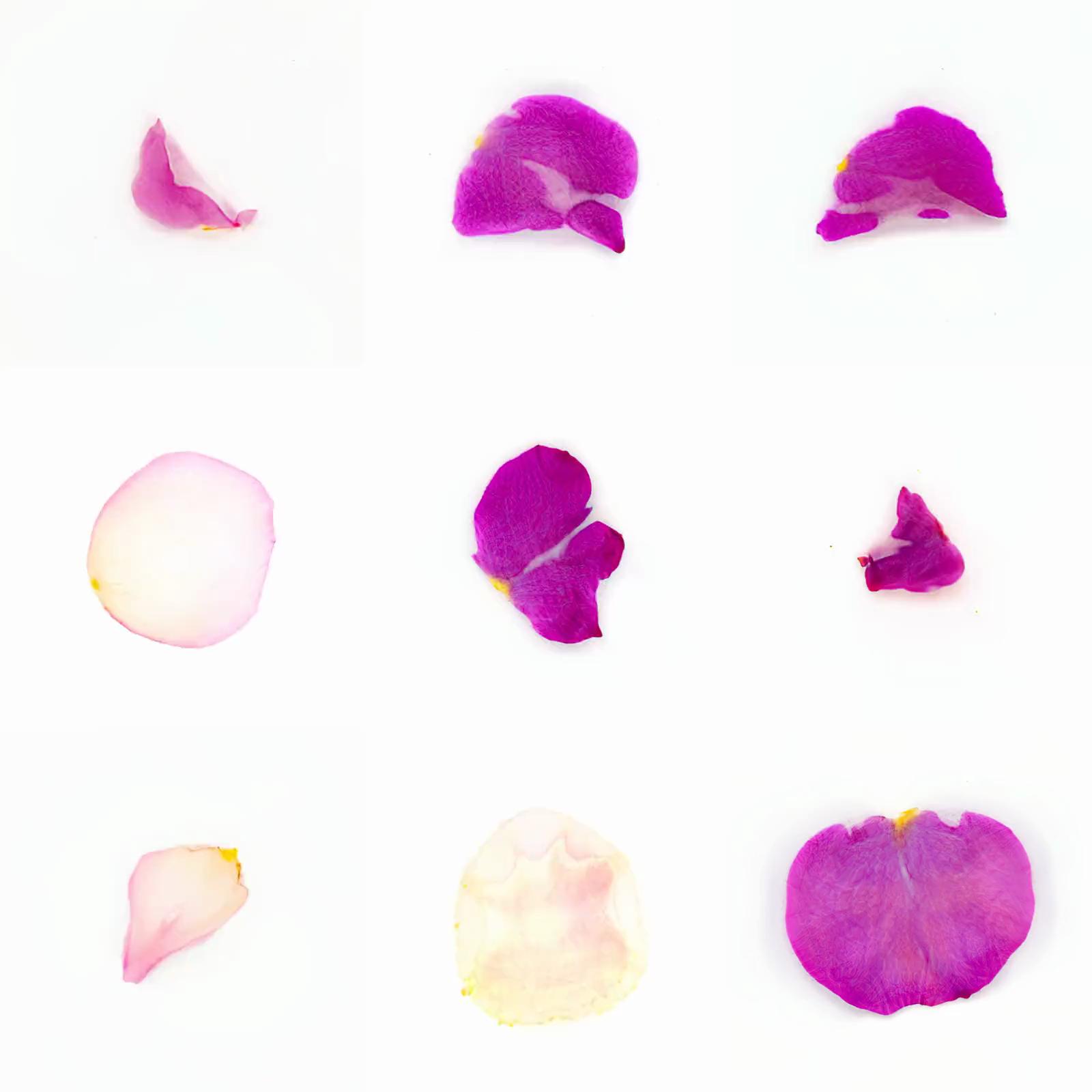 Infinite Petals 3x3#3646