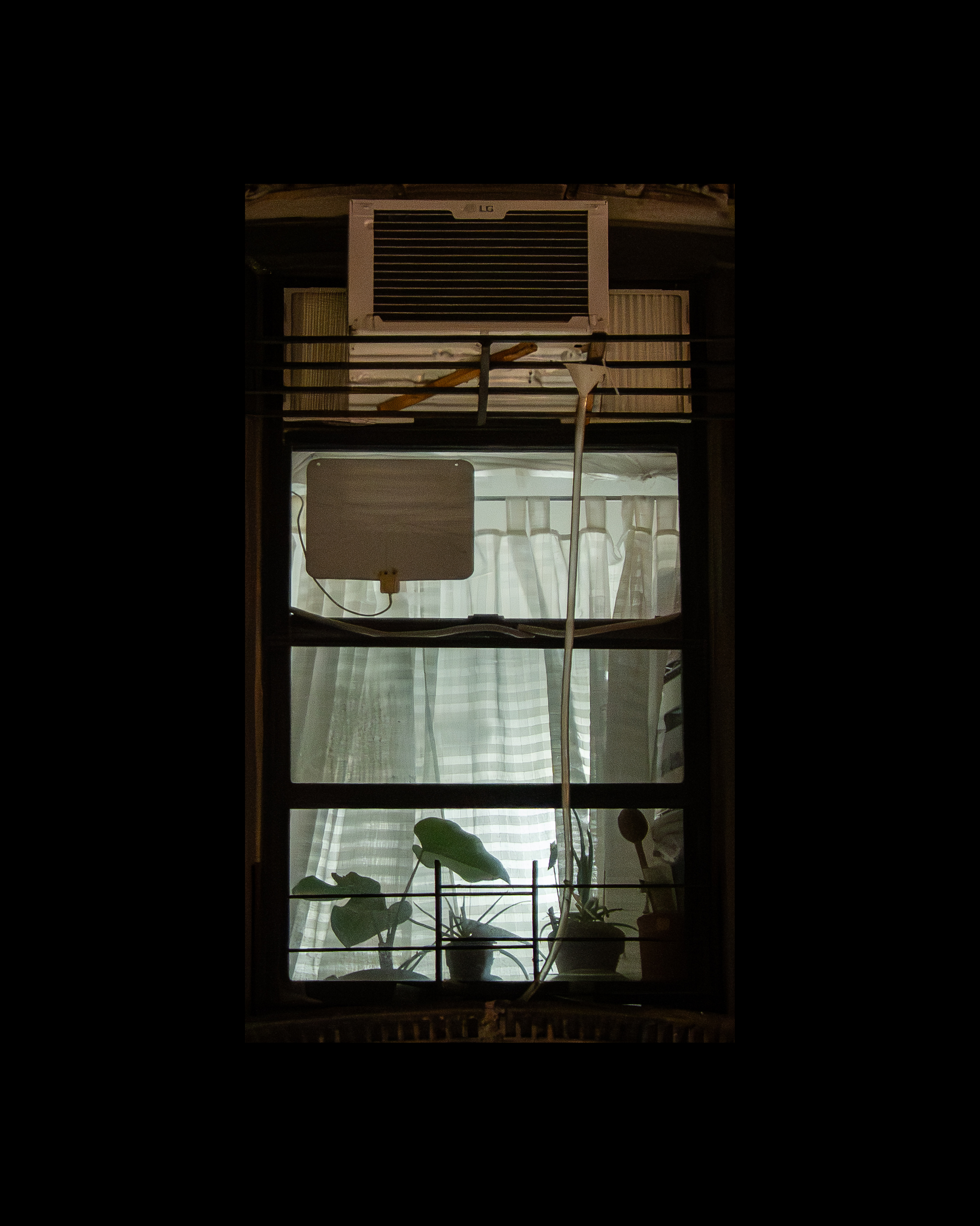 WINDOW 467
