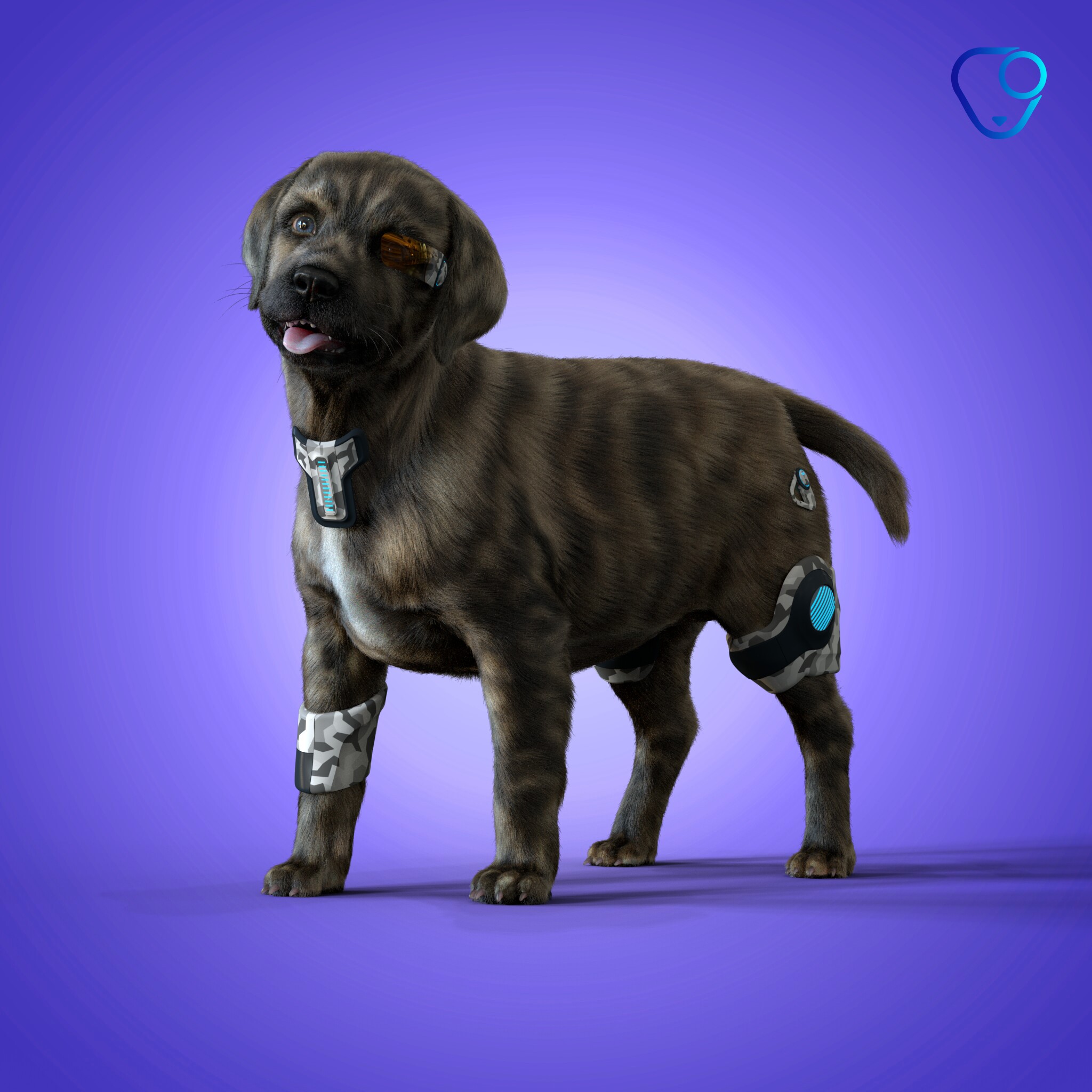 Labrador Retriever #663