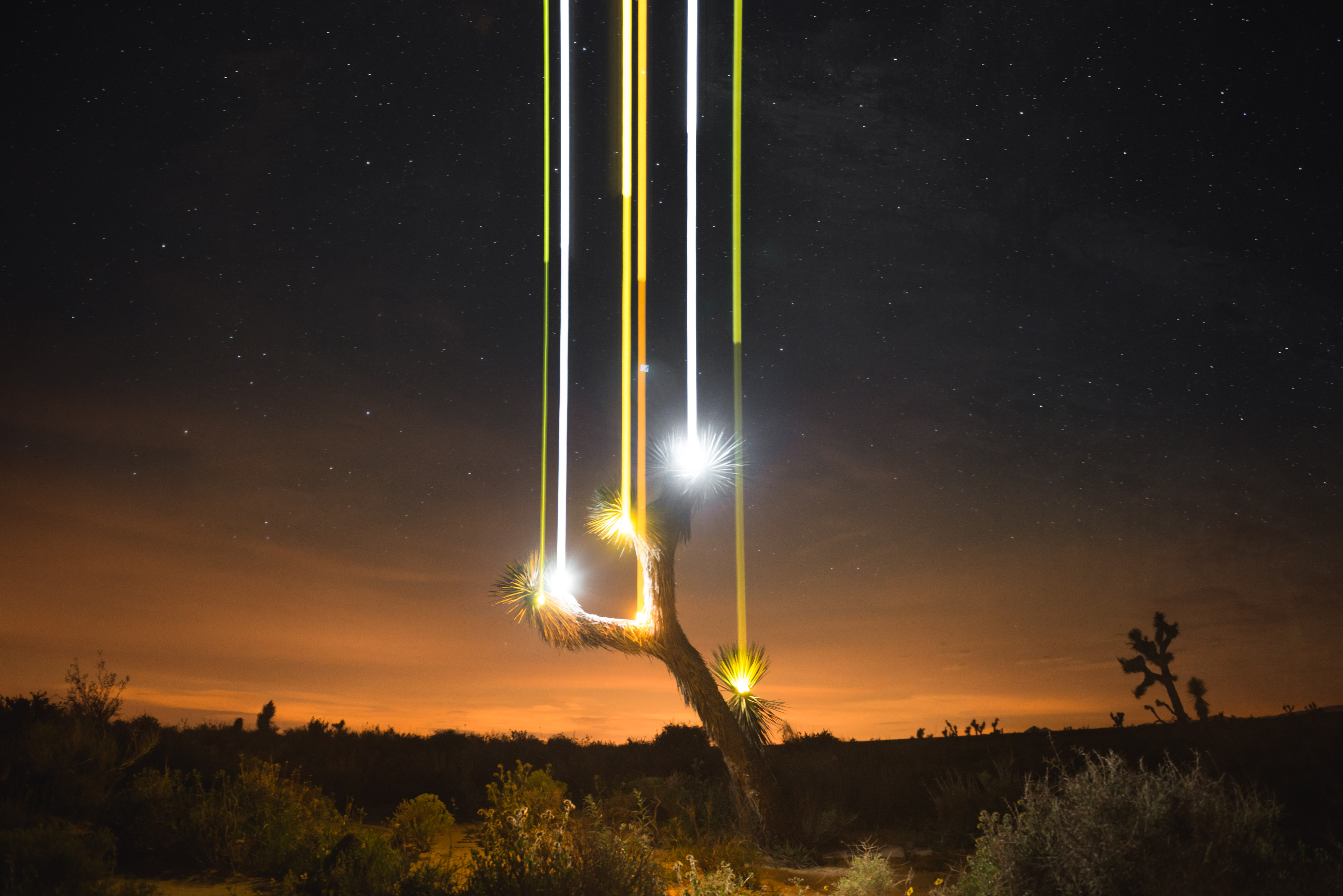 Vertical Duality