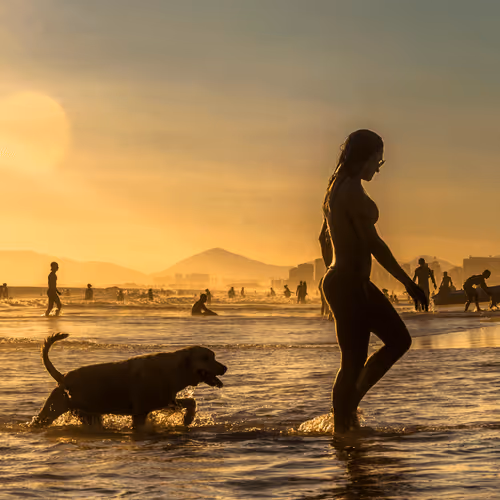 Sunny Soul #02: Carioca