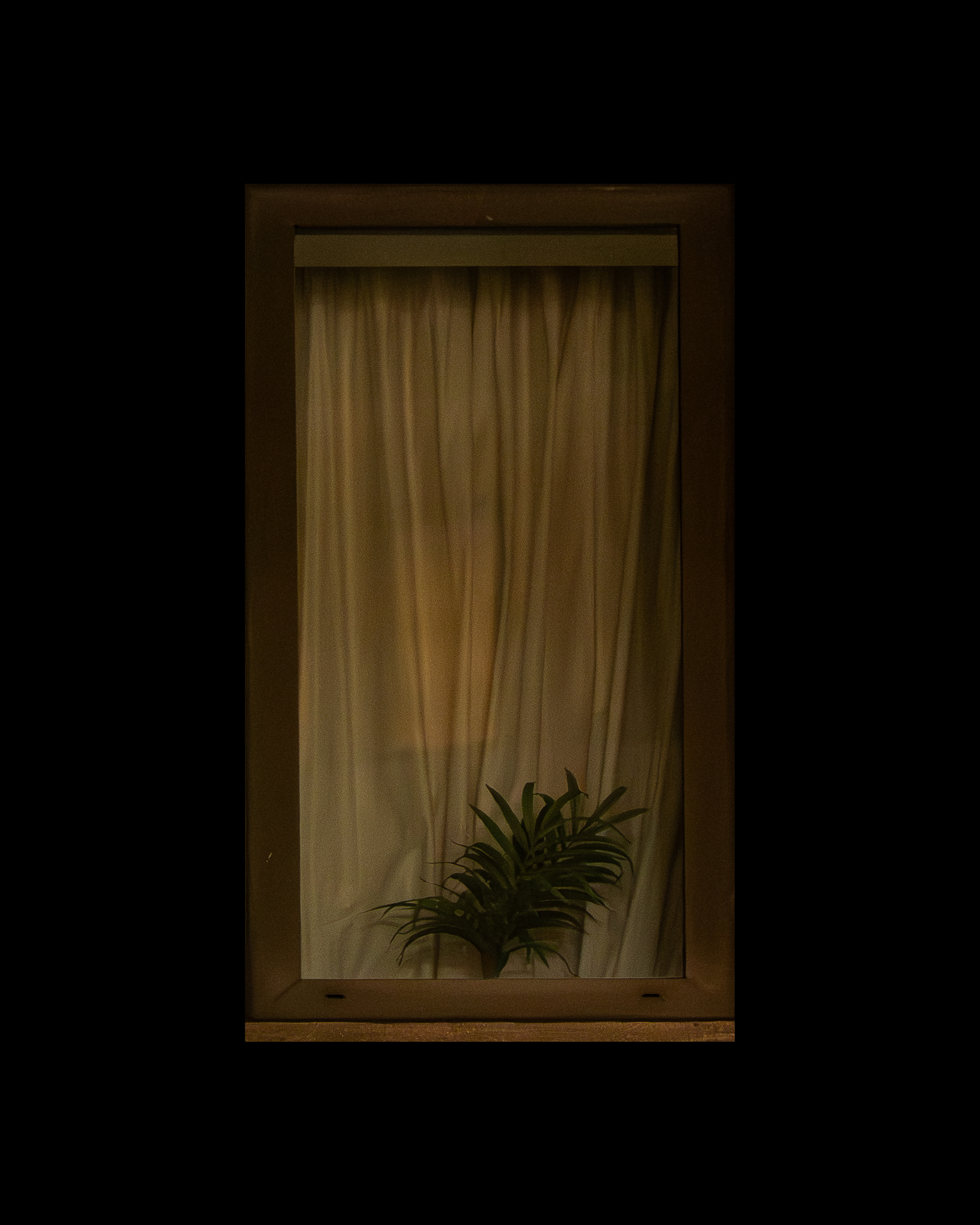 WINDOW 720