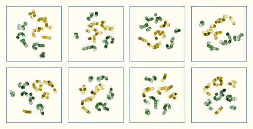 t-SNE #94
