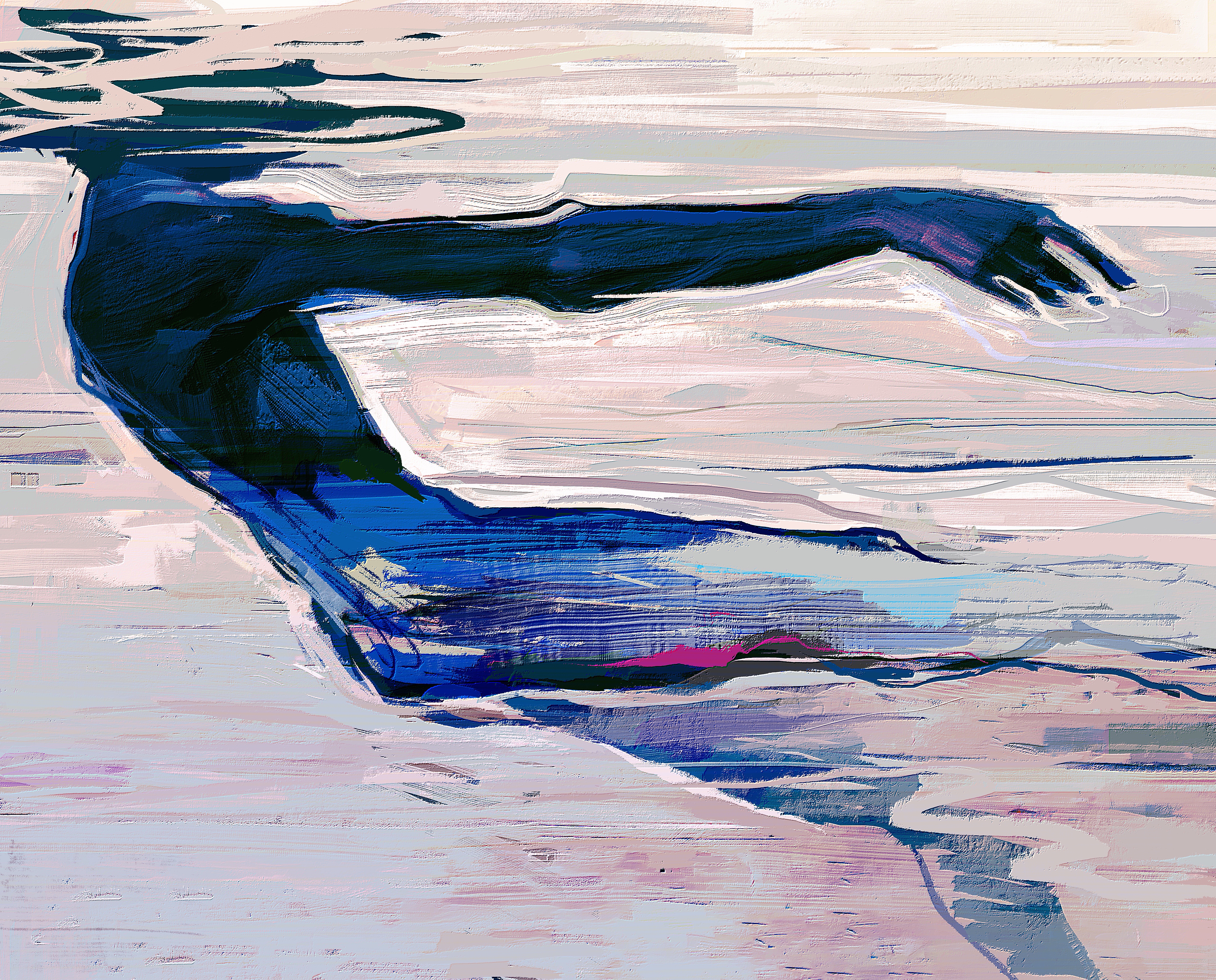 The Swimmer