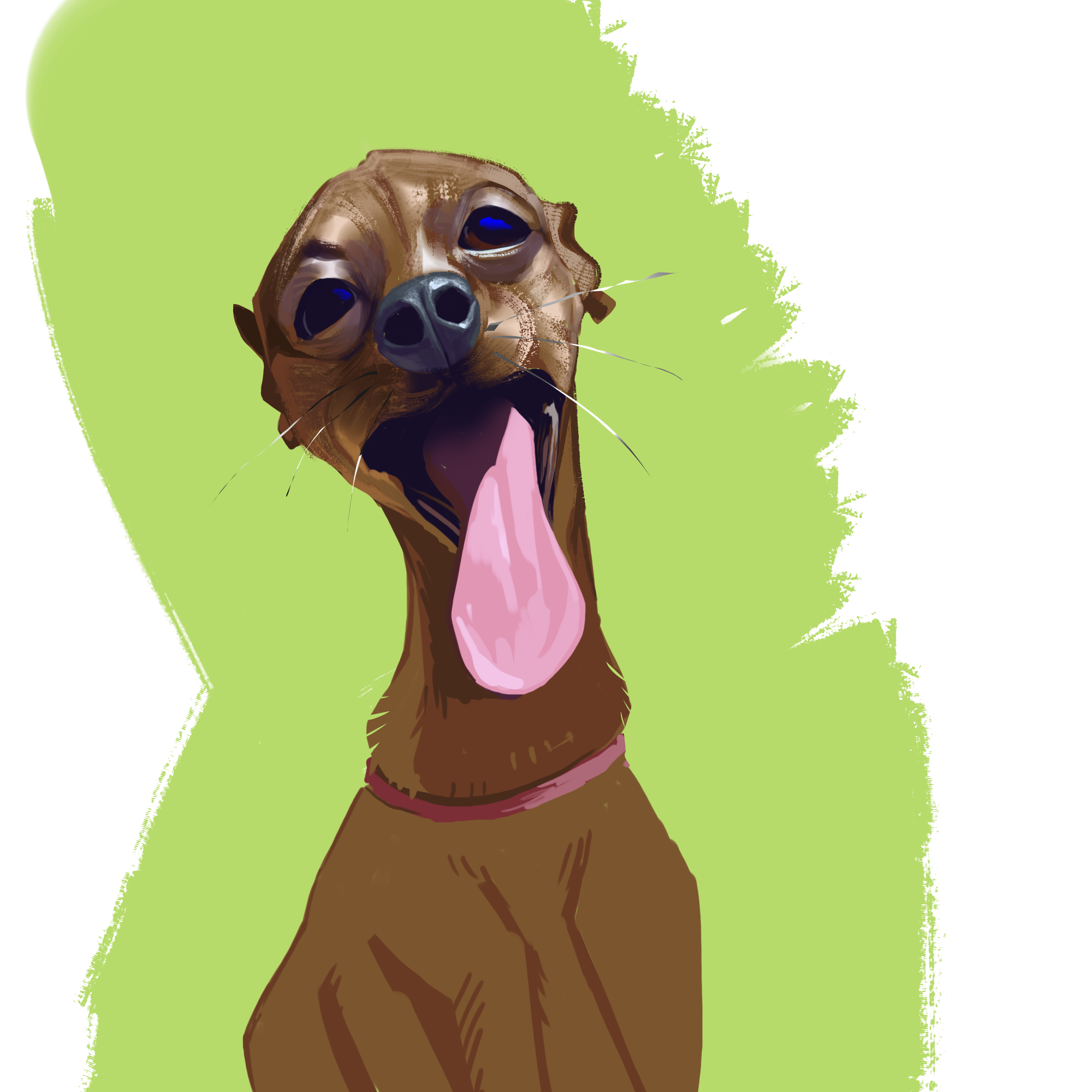 dog