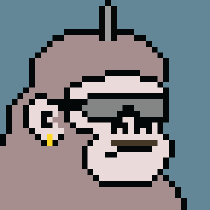 Kong Punk #06915