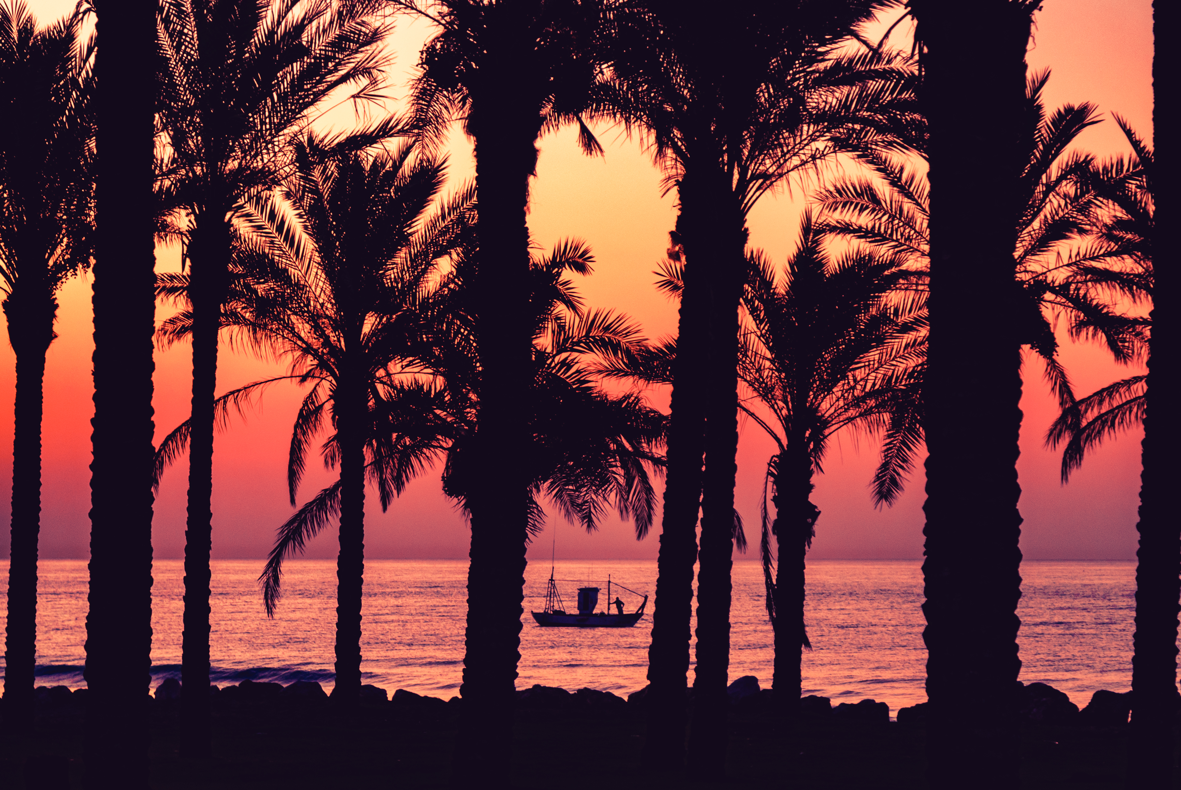 Wish You Were Here