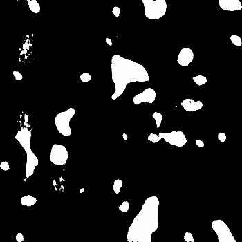 irregular#5