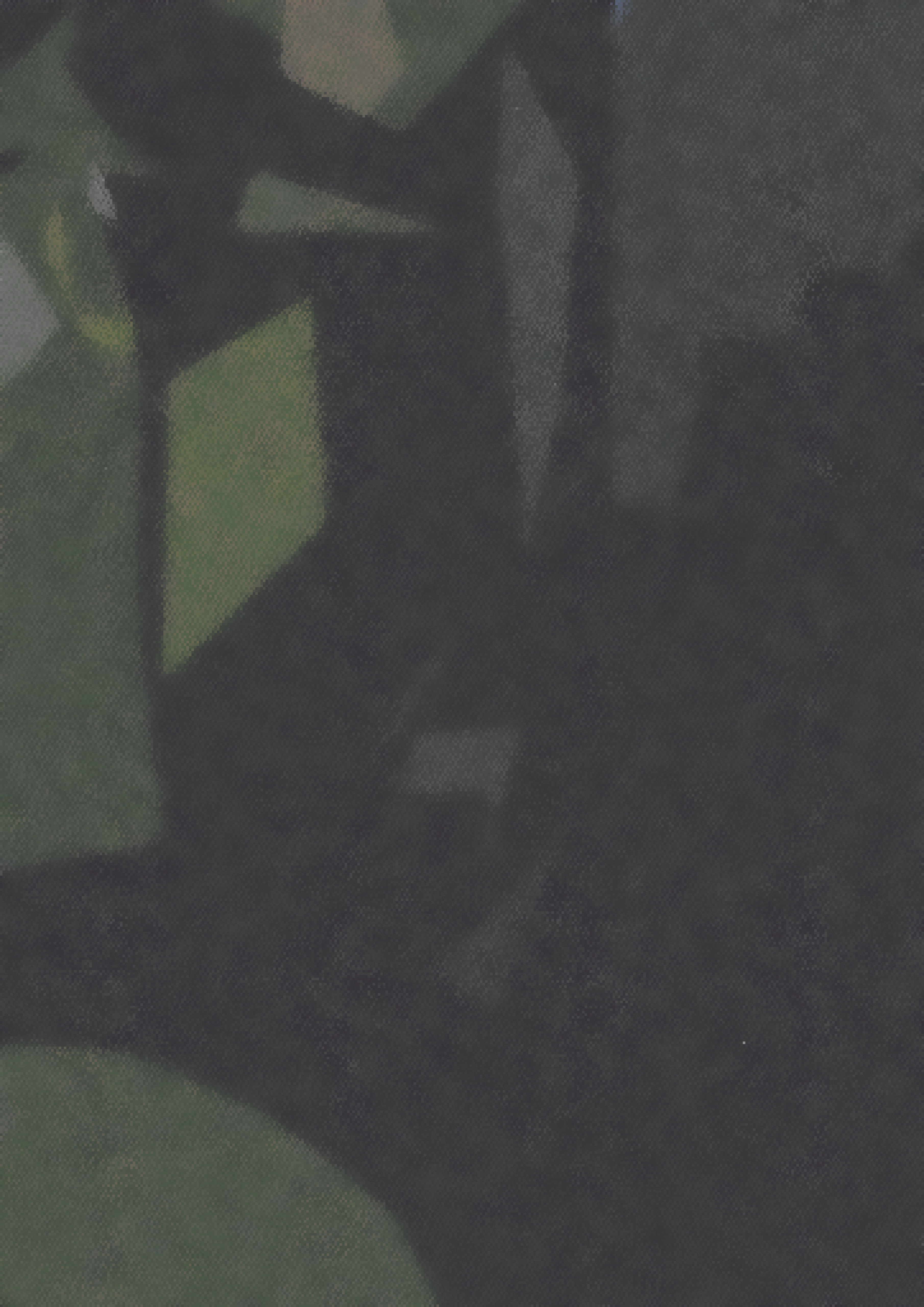 Home - IV