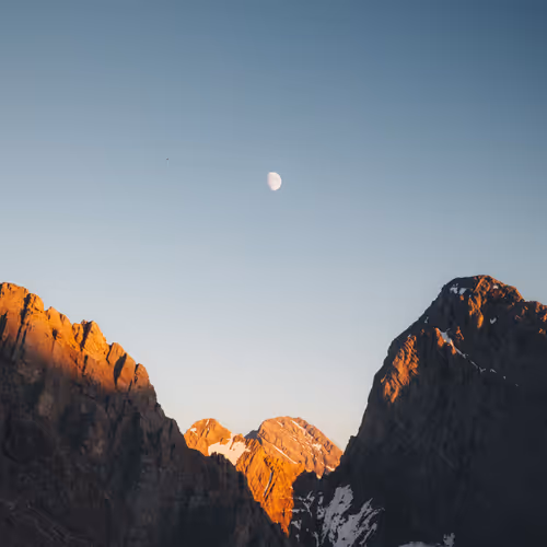 SOLACE