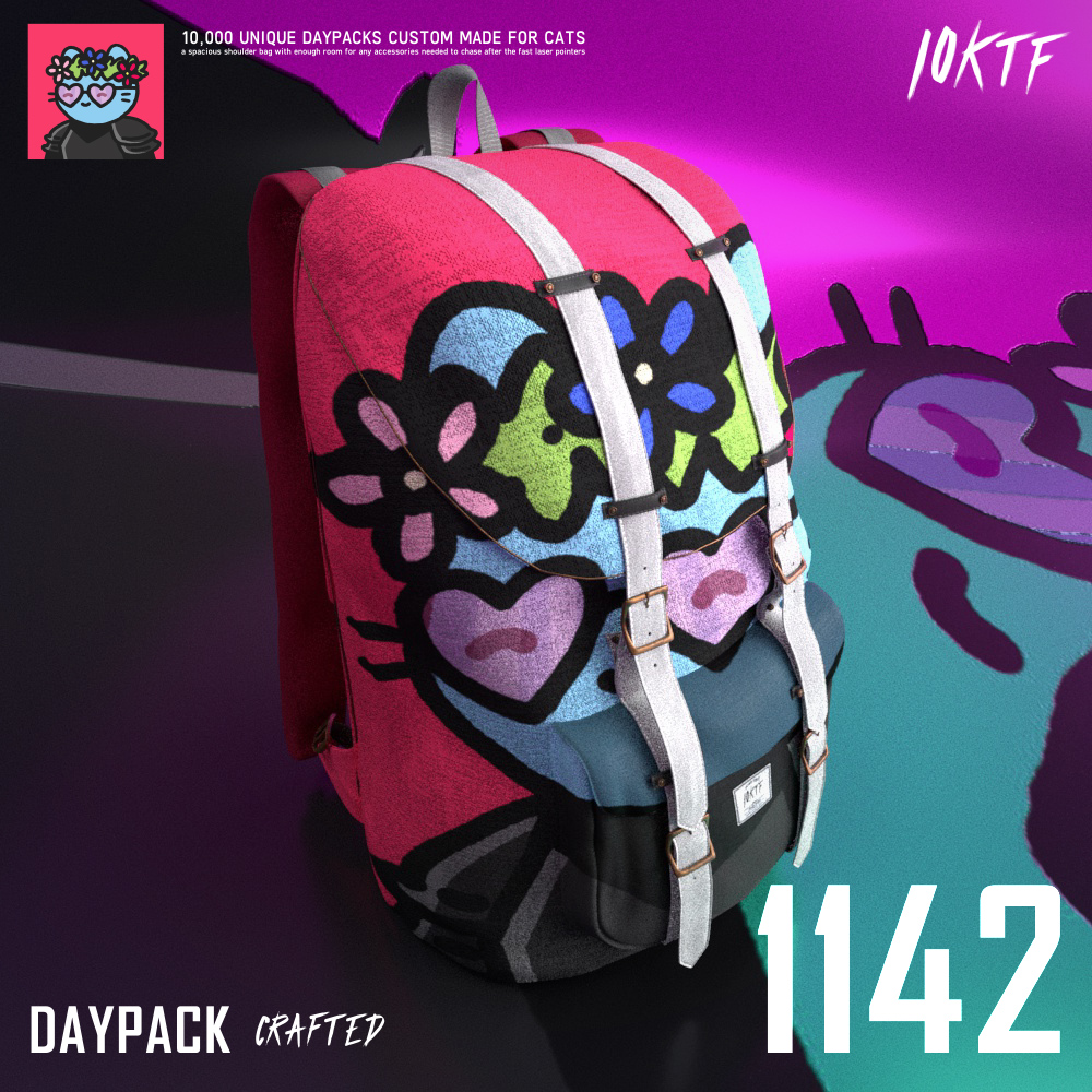 Cool Daypack #1142