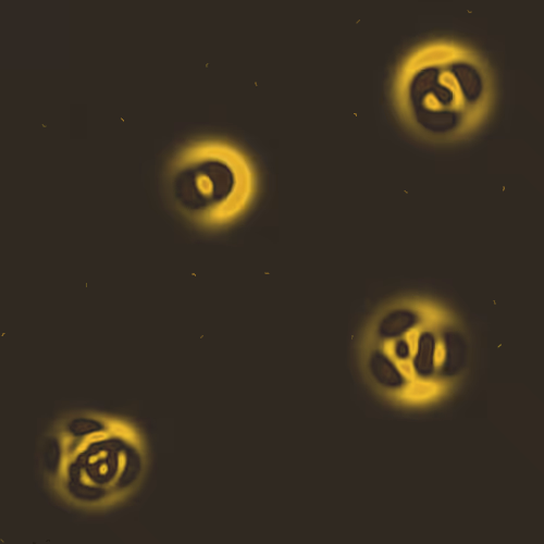 Quantum Collapses #265