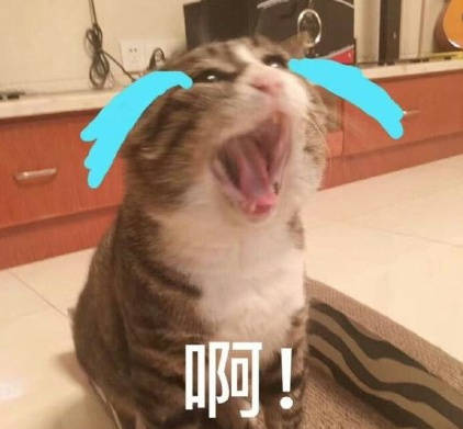 qqq61