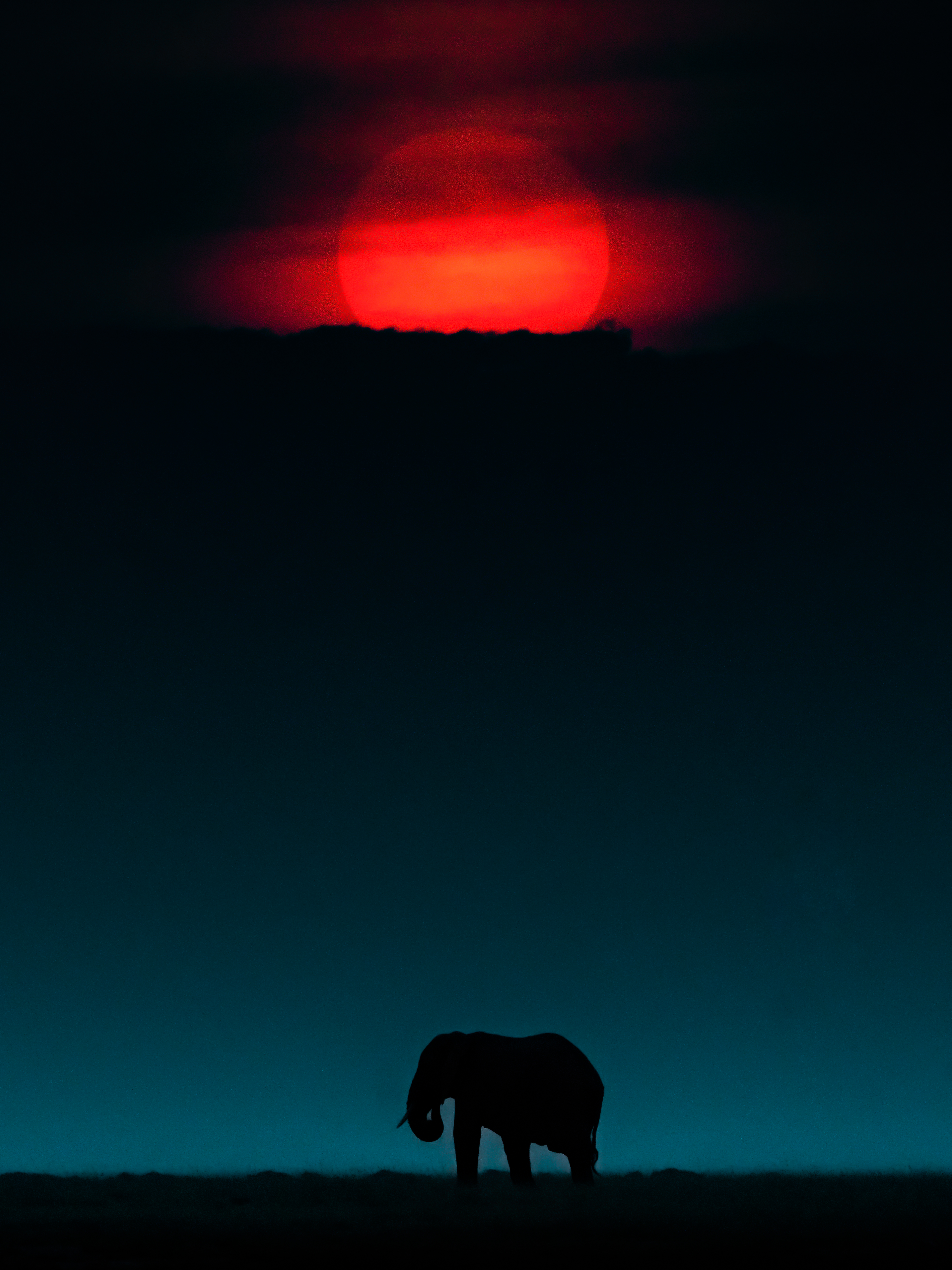 Rise of the Giant