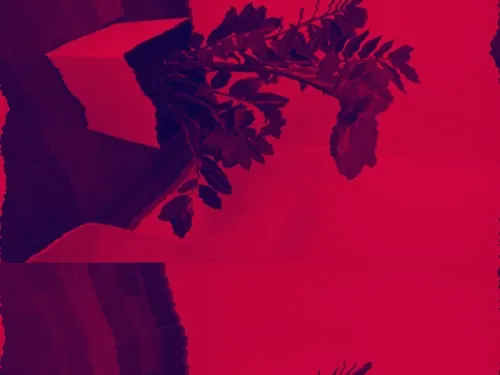 Flower 8