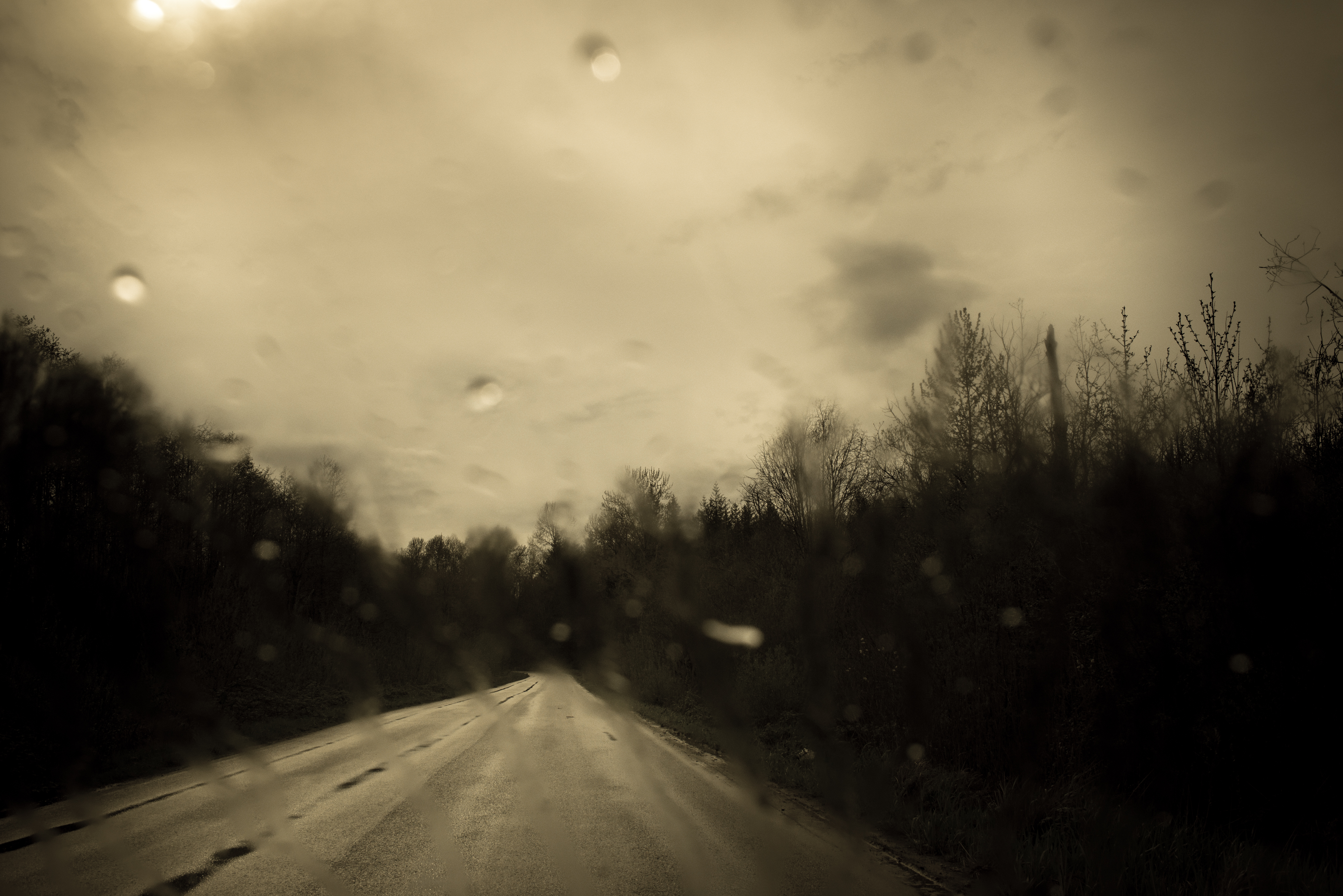 The Black Mechanism #14 (Untitled 11794-0141) by Todd Hido