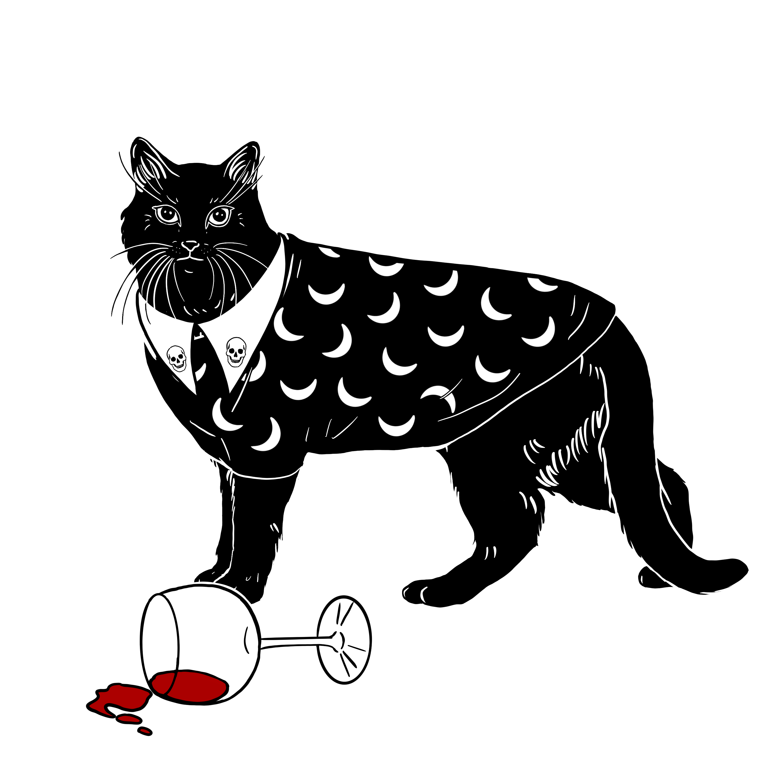The Sad Cat #5365