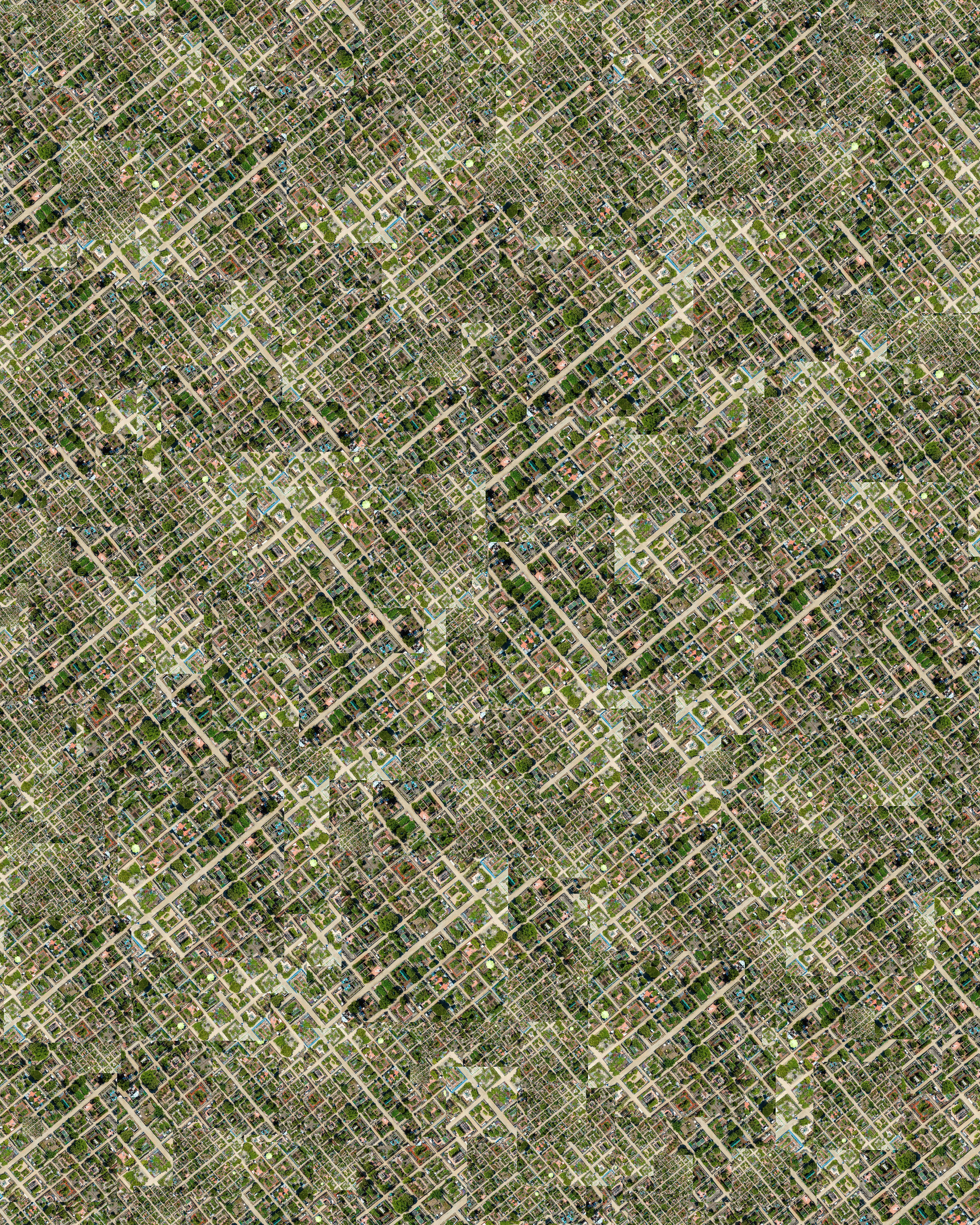 233