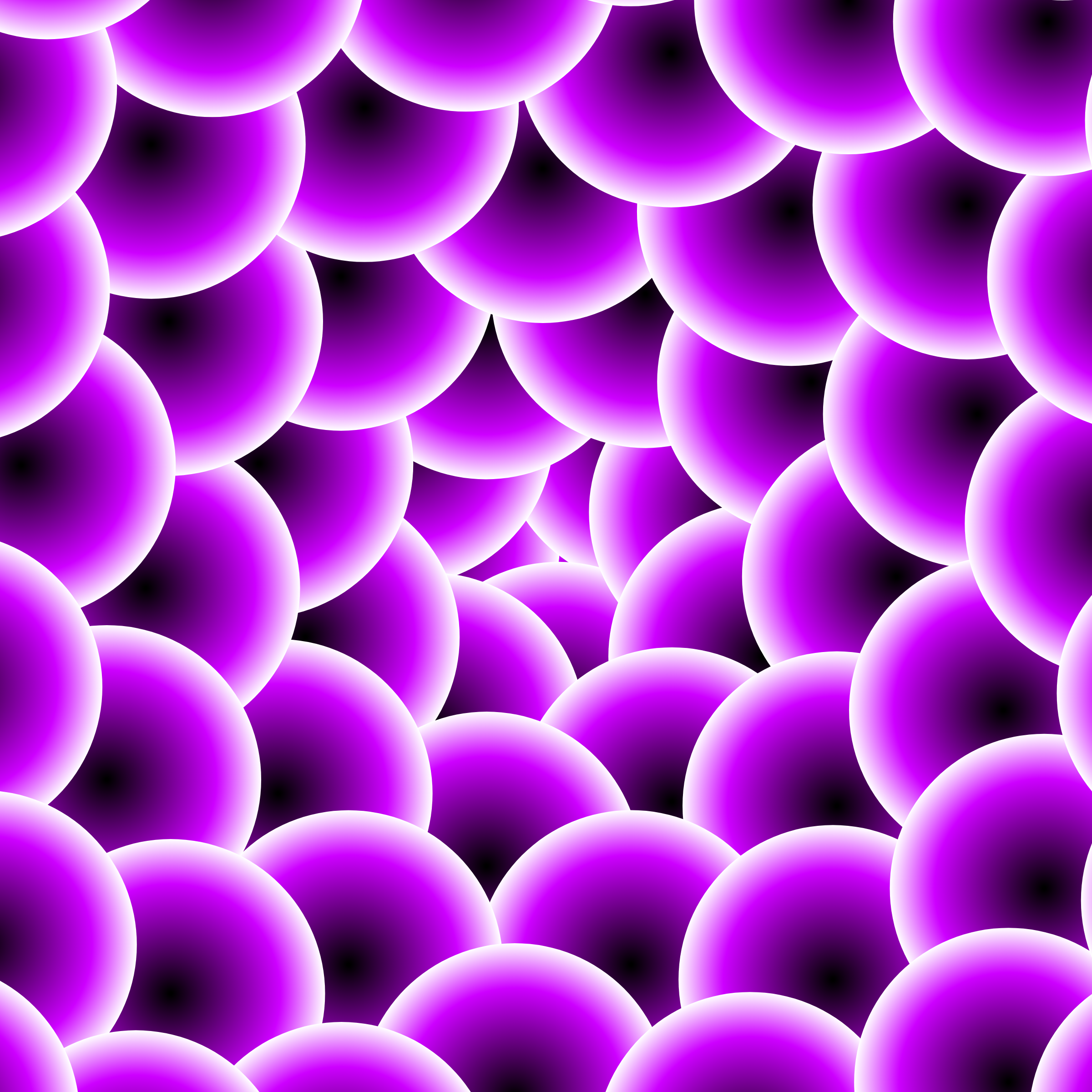 Non Either #27